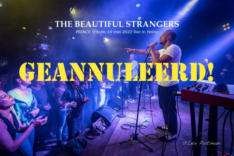 afbeelding: PRINCE by BEAUTIFUL STRANGERS 
